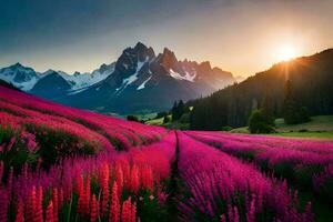 the sun rises over a field of pink flowers in the mountains. AI-Generated photo