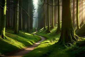 un camino mediante un bosque con arboles y luz de sol. generado por ai foto