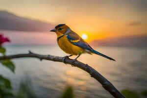 un pájaro se sienta en un rama a puesta de sol. generado por ai foto