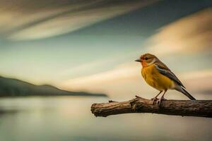 un amarillo pájaro sentado en un rama cerca el agua. generado por ai foto