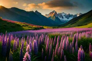 the lupine field in the mountains. AI-Generated photo