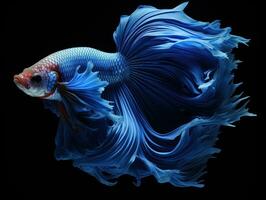 Siamese fighting fish Generative AI photo