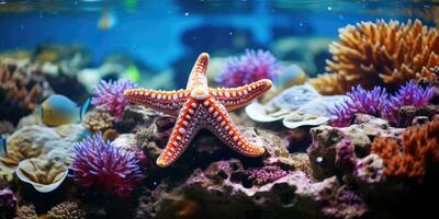 un hermosa estrella de mar alrededor muy hermosa coral arrecife ai generativo foto