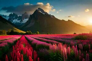 a field of pink flowers and mountains at sunset. AI-Generated photo