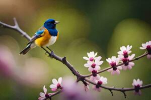 a blue and yellow bird sits on a branch with pink flowers. AI-Generated photo