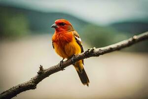 a red and orange bird sitting on a branch. AI-Generated photo