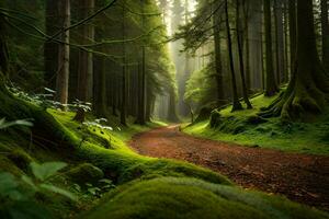 un camino mediante un bosque con cubierto de musgo arboles generado por ai foto