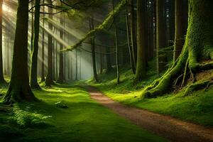 a path through a green forest with trees and sunbeams. AI-Generated photo