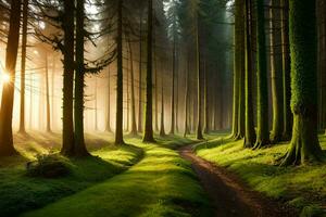 un camino mediante un bosque con arboles y césped. generado por ai foto