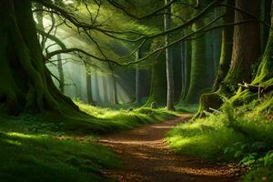 foto fondo de pantalla bosque, el camino, árboles, luz de sol, camino, árboles, camino, bosque,. generado por ai
