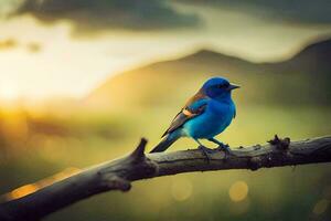 un azul pájaro se sienta en un rama en frente de un puesta de sol. generado por ai foto