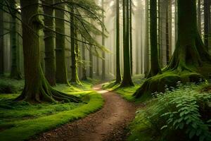 a path through a green forest with trees and moss. AI-Generated photo