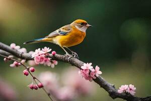 a bird sits on a branch with pink flowers. AI-Generated photo