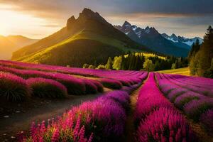 lavender field at sunset in the mountains. AI-Generated photo
