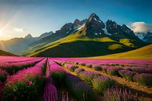 the lavender fields of the alan valley. AI-Generated photo