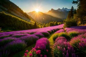 the sun rises over lavender fields in the mountains. AI-Generated photo