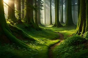 a path through a green forest with trees and moss. AI-Generated photo