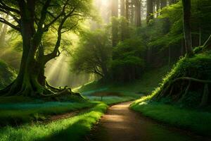 photo wallpaper forest, the sun, trees, path, path, the sun, path, the. AI-Generated