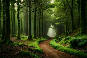 a path through a green forest with trees and moss. AI-Generated photo