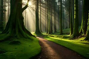 a path through a forest with trees and sunlight. AI-Generated photo