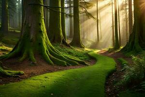 un camino mediante un bosque con luz de sol brillante mediante el arboles generado por ai foto