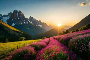 the sun rises over lavender fields in the mountains. AI-Generated photo