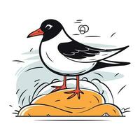 Seagull on the island. Vector illustration of a seagull.