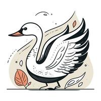 Swan. Hand drawn vector illustration in doodle style.