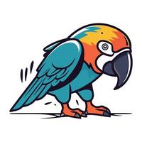 Parrot. Vector illustration. Isolated on a white background.