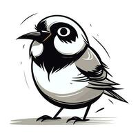 cute black and white bird isolated on white background. vector illustration