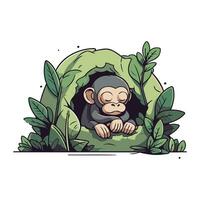 Monkey in the jungle. Vector illustration of a monkey in the jungle.