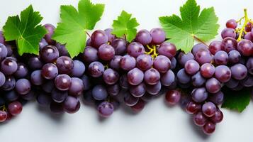 Fresh grape slice background on white background. Ai generated. photo