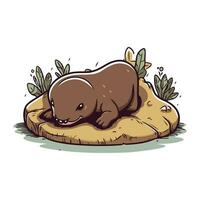 Cute baby hippopotamus sleeping on a rock. Vector illustration.