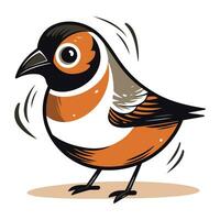 Illustration of a bullfinch bird on a white background. vector