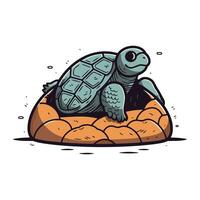 linda dibujos animados Tortuga aislado en un blanco antecedentes. vector ilustración.