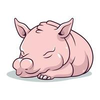 Cute pig sleeping. Vector illustration isolated on white background. Cartoon style.