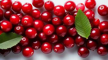 Fresh cranberry slice background on white background. Ai generated. photo