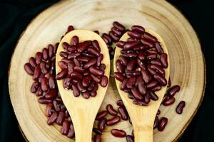 dried red kidney beans out of the own garden photo