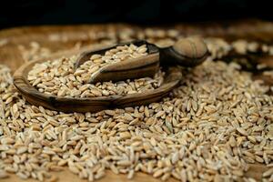 a pile of spelt Triticum aestivum spelta on olive wood photo