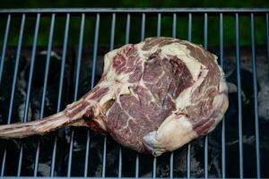 Tomahawk steak with herbs and spices photo