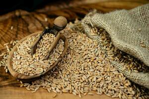 a pile of spelt Triticum aestivum spelta on olive wood photo