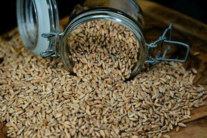 a pile of spelt Triticum aestivum spelta on olive wood photo