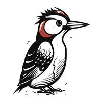Woodpecker. Hand drawn vector illustration isolated on white background.