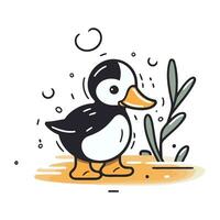 Cute penguin. Vector illustration. Isolated on white background.