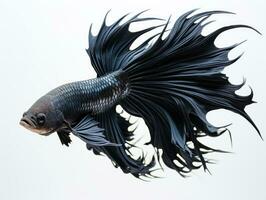 Siamese fighting fish Generative AI photo