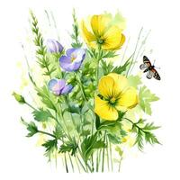 acuarela ilustración de especias Rúcula ramitas con Rúcula flores.ai generado foto