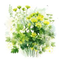 Watercolor illustration of Spices. bunch of parsley with parsley flowers.ai generated photo