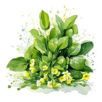 Watercolor illustration of Spices. Sprigs of spinach with spinach flowers.ai generated photo