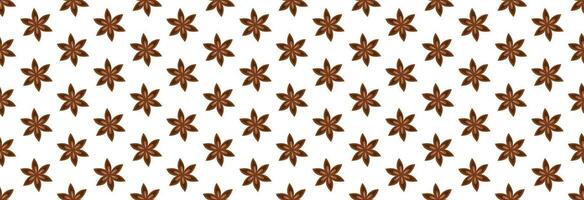 Star anise banner. vector