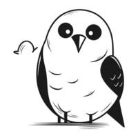 Cute black and white owl isolated on white background. Vector illustration.